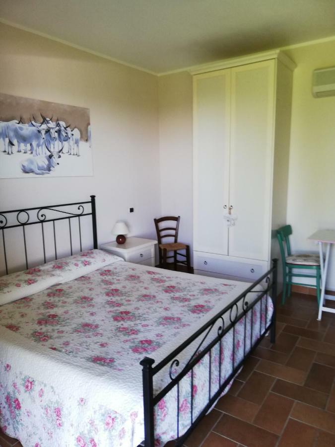 Agriturismo Prati Degli Orti Montiano  Exterior photo